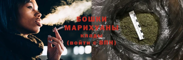 бошки Бронницы