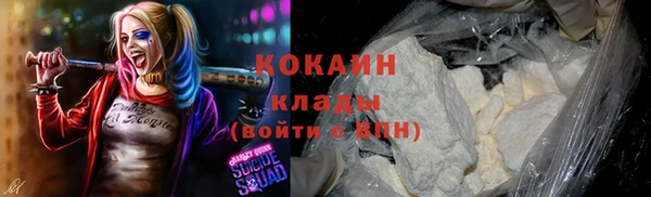 бошки Бронницы