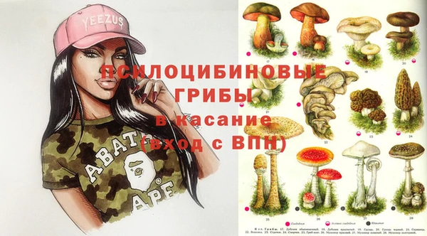 бошки Бронницы