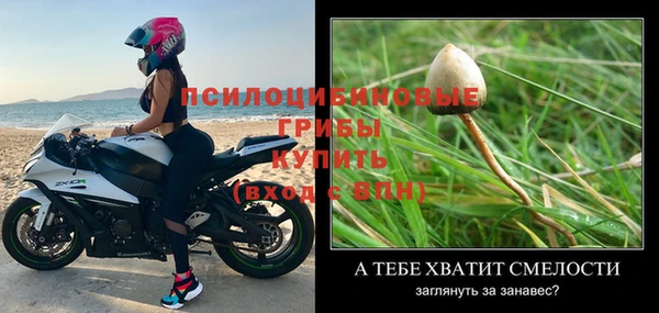 MDMA Premium VHQ Бородино