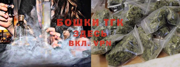 бошки Бронницы