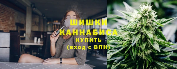 бошки Бронницы