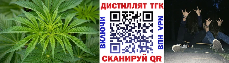 Купить где  Елизово  ТГК THC oil 