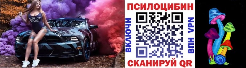 Купить  Елизово  Галлюциногенные грибы Magic Shrooms 